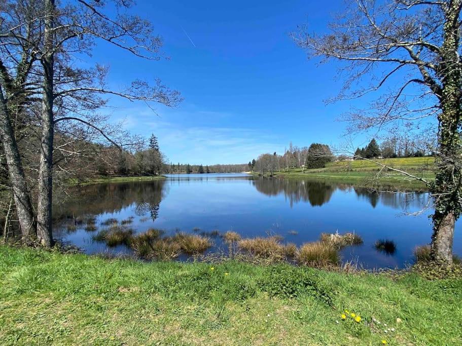 Spacious 1 Bed Home With Shared Pool Champagnac-la-Rivière 外观 照片