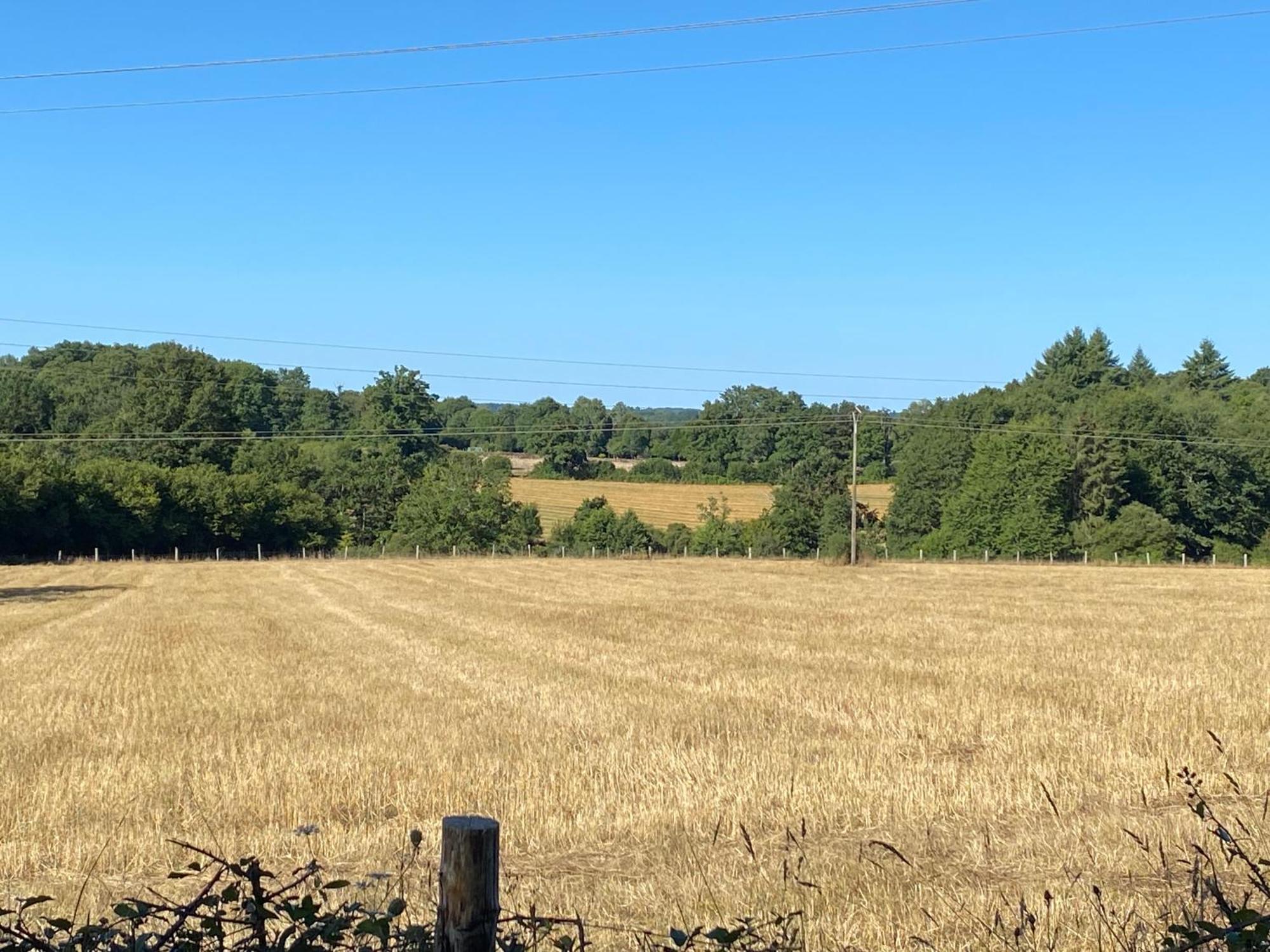 Spacious 1 Bed Home With Shared Pool Champagnac-la-Rivière 外观 照片